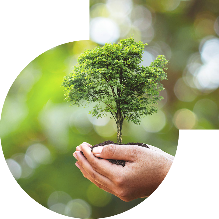 关怀人类、文化、环境与社会